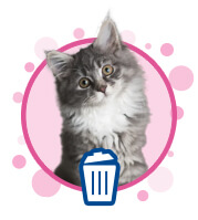 grey cat with animated trash can