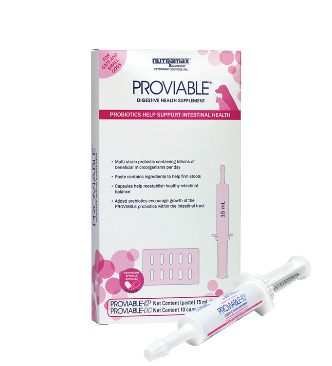 Proviable paste syringe in front of Proviable kit