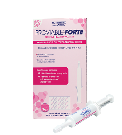 Proviable®Forte Kits For Dogs Proviable®
