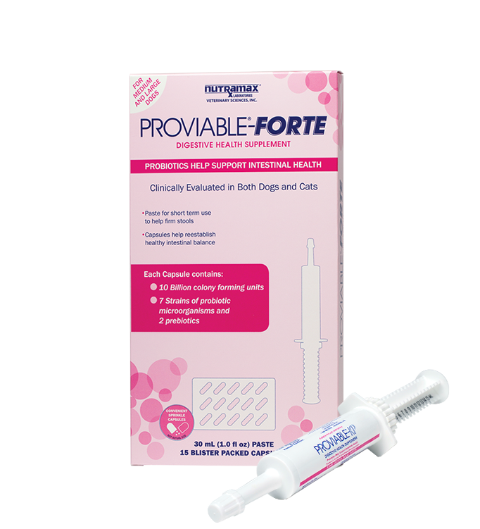 Proviable-Forte paste syringe in front of Proviable-Forte kit